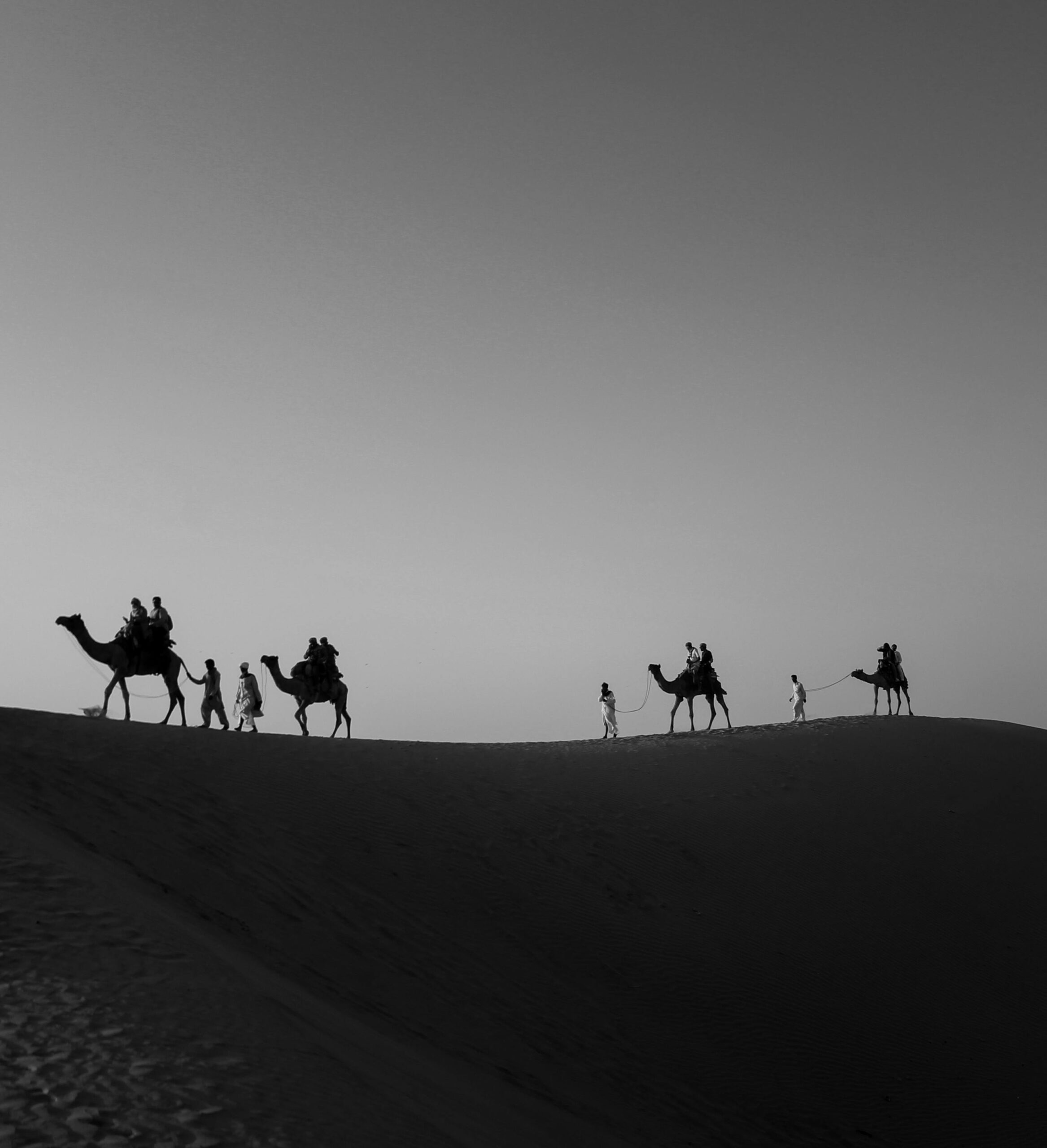 P3 – The Horizon: Local Sourcing, Sustainability, and the Roadmap to 2030